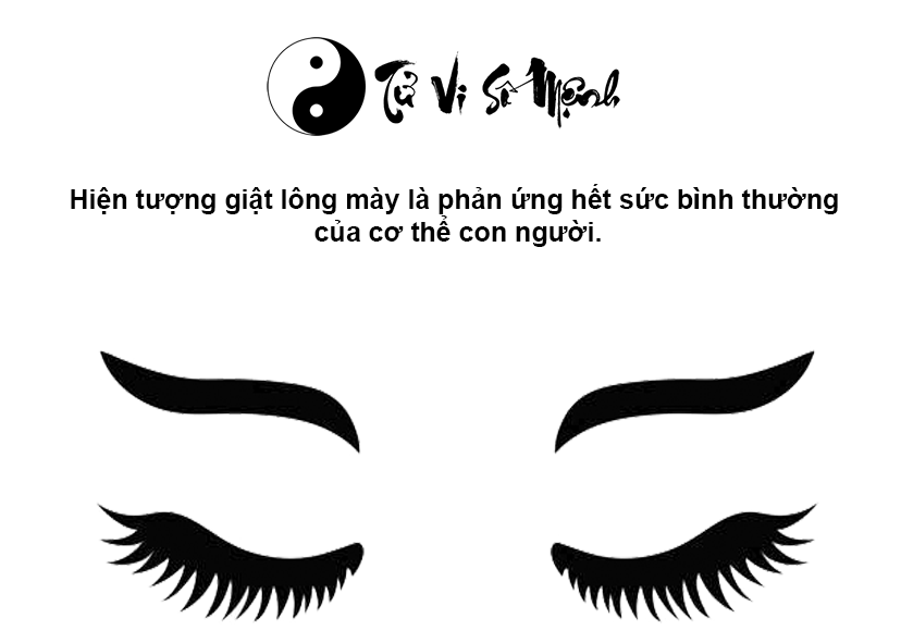 Giải m&atilde; hiện tượng giật l&ocirc;ng m&agrave;y ở nam v&agrave; nữ