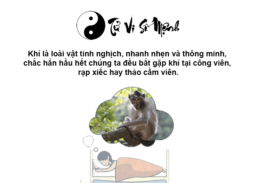 Giải mã giấc mơ thấy khỉ và con số may mắn