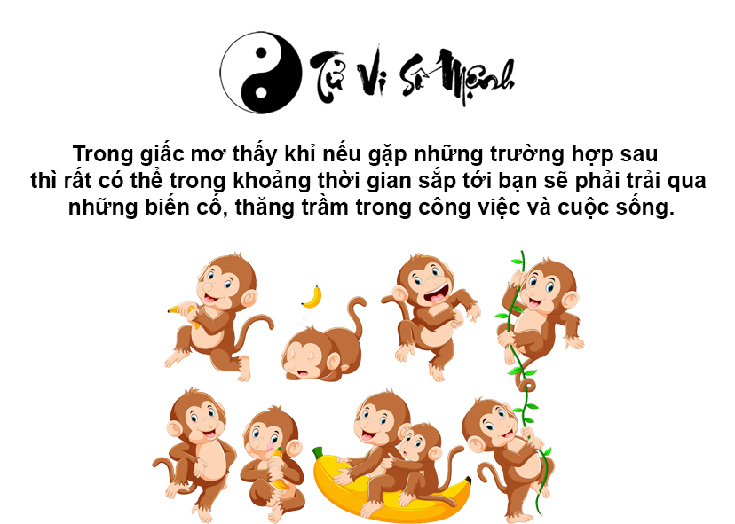 Giải mã giấc mơ thấy khỉ và con số may mắn