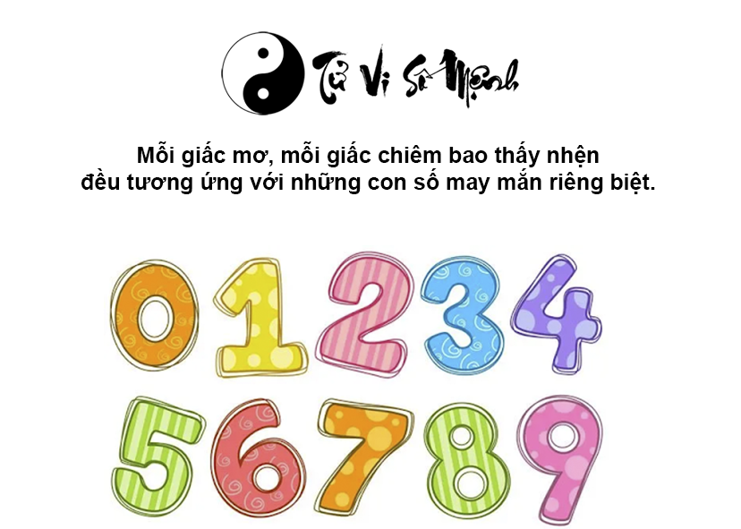 Nằm mơ thấy nhện là điềm báo gì và ứng với con số nào
