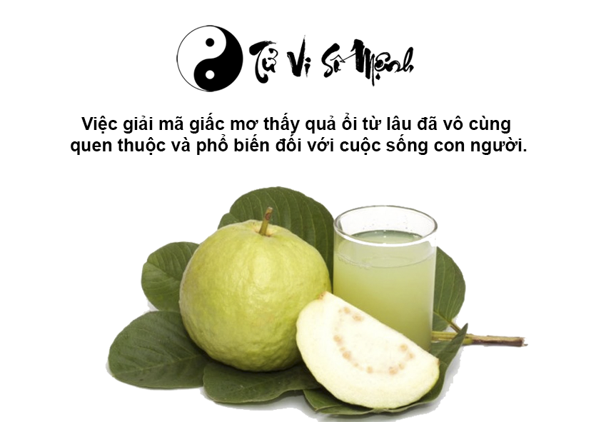 Giải m&atilde; giấc mơ thấy quả ổi v&agrave; con số may mắn