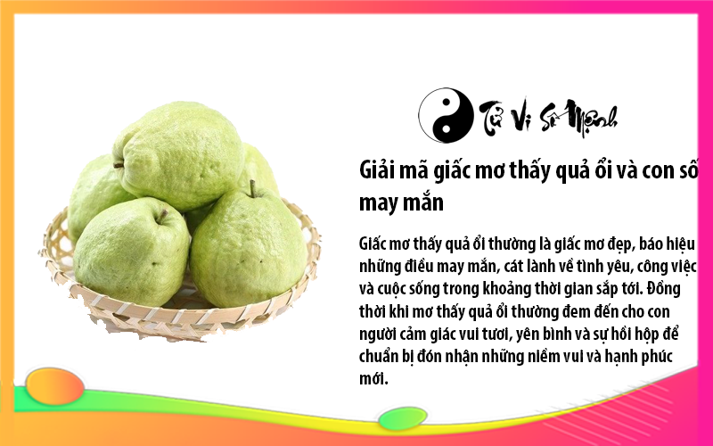 Giải m&atilde; giấc mơ thấy quả ổi v&agrave; con số may mắn