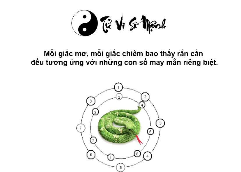 Nằm mơ bị rắn cắn dự báo điềm gì và ứng với con số nào