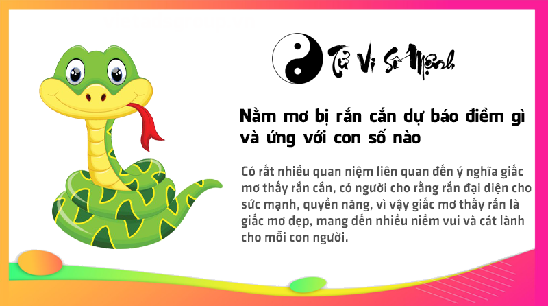 Nằm mơ bị rắn cắn dự báo điềm gì và ứng với con số nào