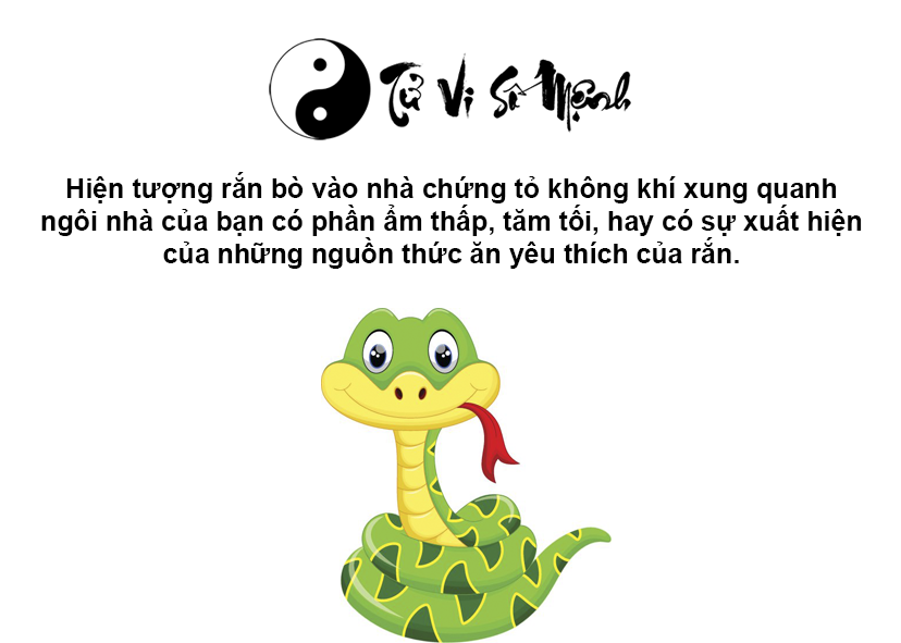 Giải mã hiện tượng rắn vào nhà và con số tương ứng