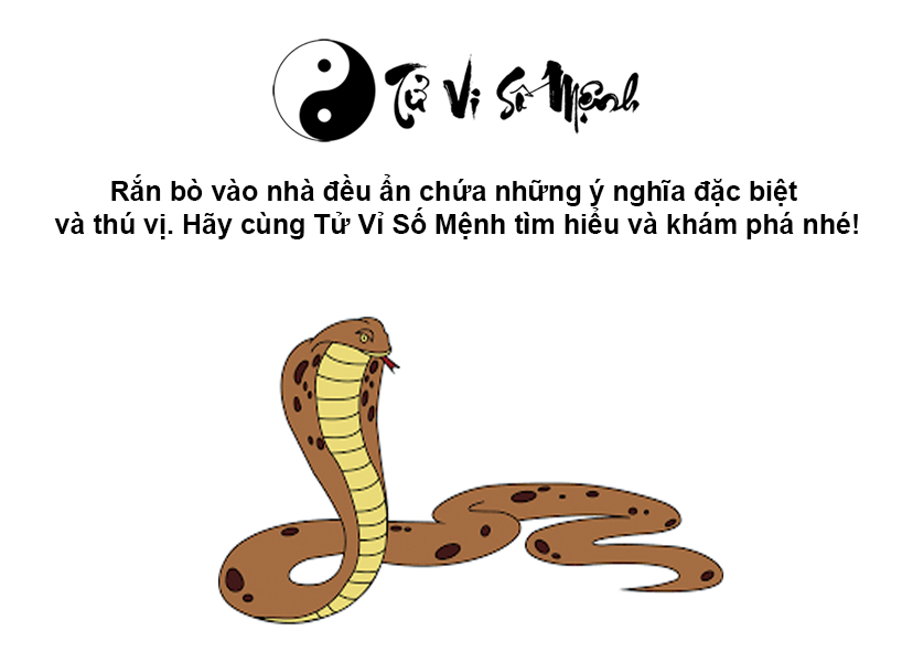 Giải mã hiện tượng rắn vào nhà và con số tương ứng