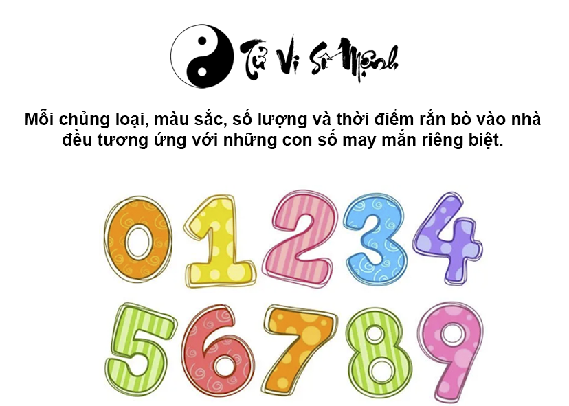 Giải mã hiện tượng rắn vào nhà và con số tương ứng