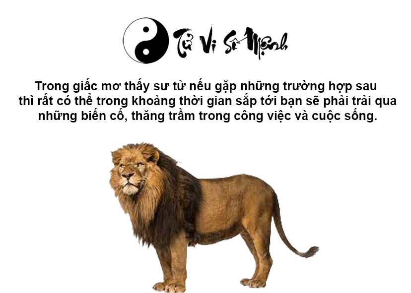 Giải mã giấc mơ thấy sư tử và con số may mắn
