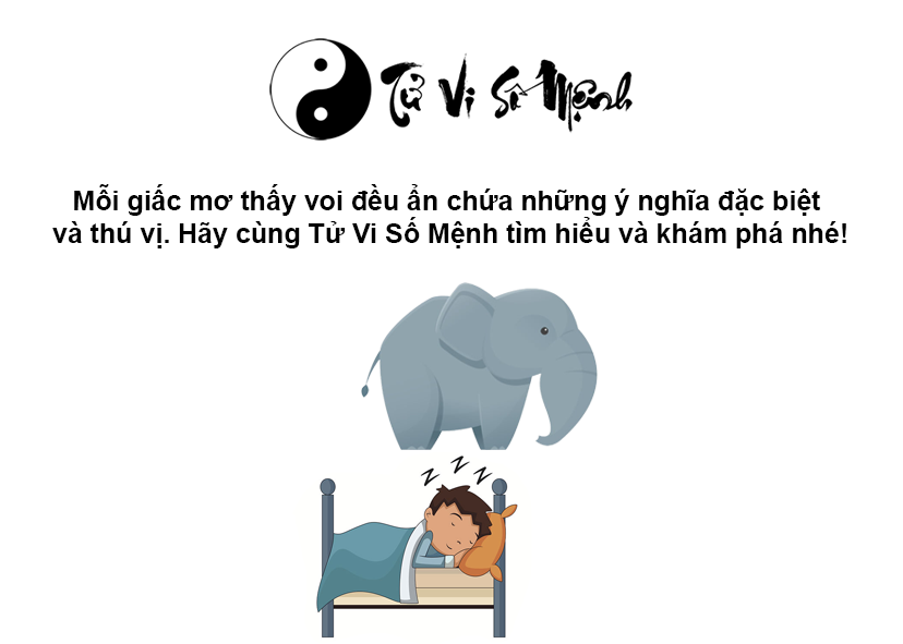 Mơ thấy voi là điềm báo gì và ứng với con số nào