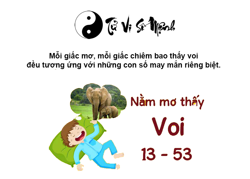 Mơ thấy voi là điềm báo gì và ứng với con số nào