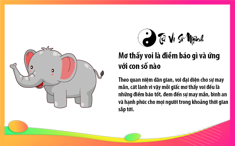 Mơ thấy voi là điềm báo gì và ứng với con số nào
