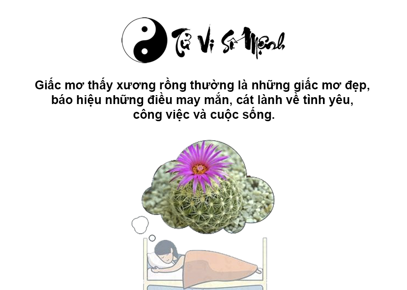 Mơ thấy cây xương rồng là điềm báo gì và ứng với con số nào