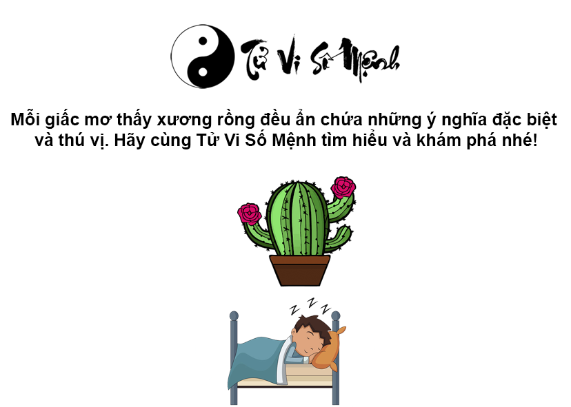 Mơ thấy cây xương rồng là điềm báo gì và ứng với con số nào