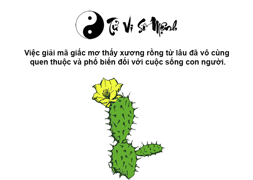 Mơ thấy cây xương rồng là điềm báo gì và ứng với con số nào
