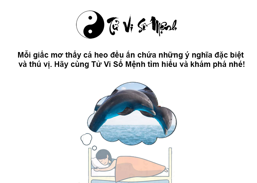 Giải mã giấc mơ thấy cá heo và con số may mắn