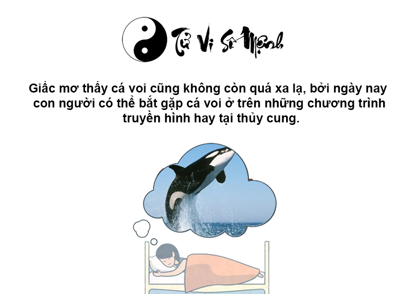 Giải mã giấc mơ thấy cá voi và con số may mắn