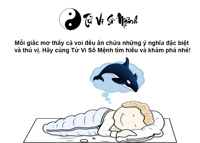 Giải mã giấc mơ thấy cá voi và con số may mắn
