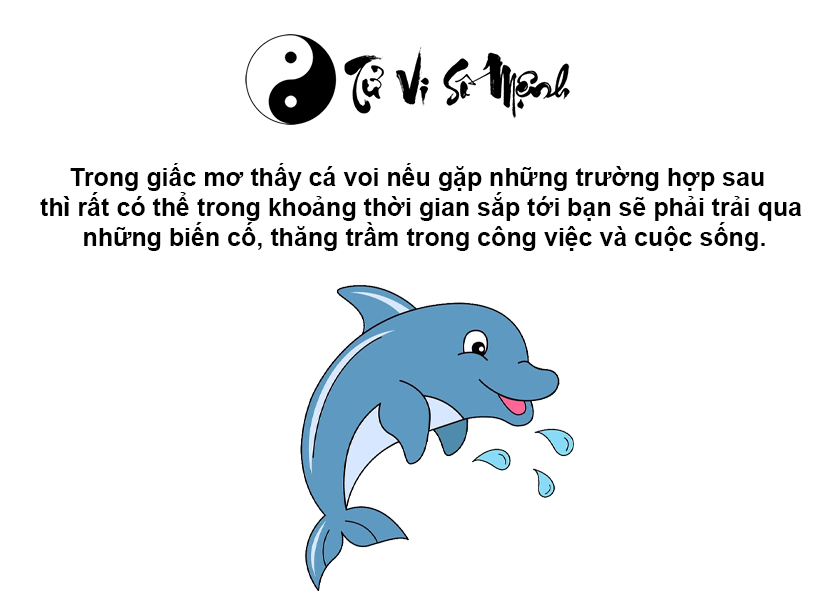 Giải mã giấc mơ thấy cá voi và con số may mắn
