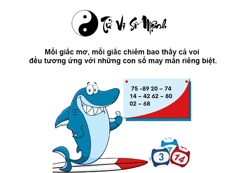 Giải mã giấc mơ thấy cá voi và con số may mắn
