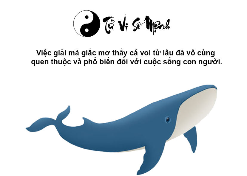 Giải mã giấc mơ thấy cá voi và con số may mắn