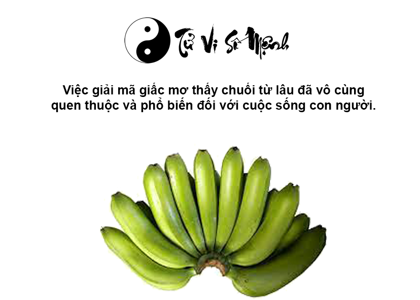 Mơ thấy chuối là điềm báo gì và ứng với con số nào