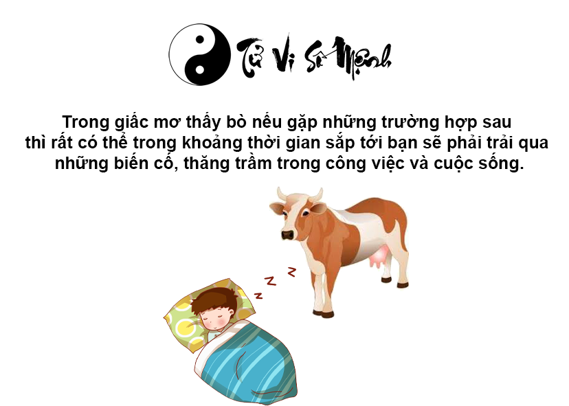 Nằm mơ thấy bò là điềm báo gì và ứng với con số nào