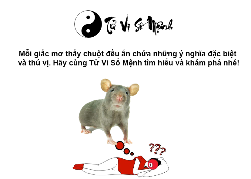 Giải mã giấc mơ thấy chuột và con số may mắn