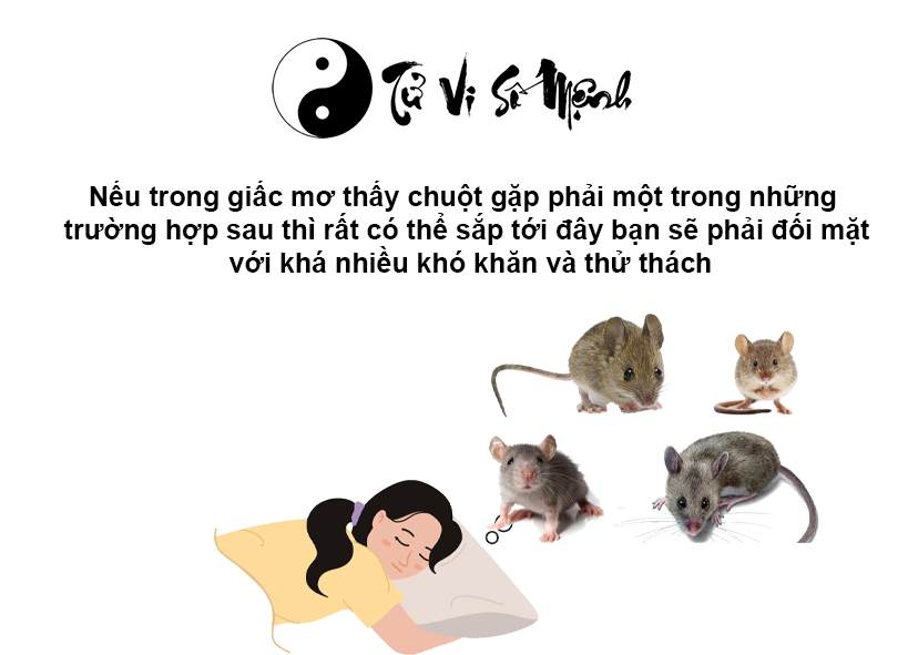 Giải mã giấc mơ thấy chuột và con số may mắn