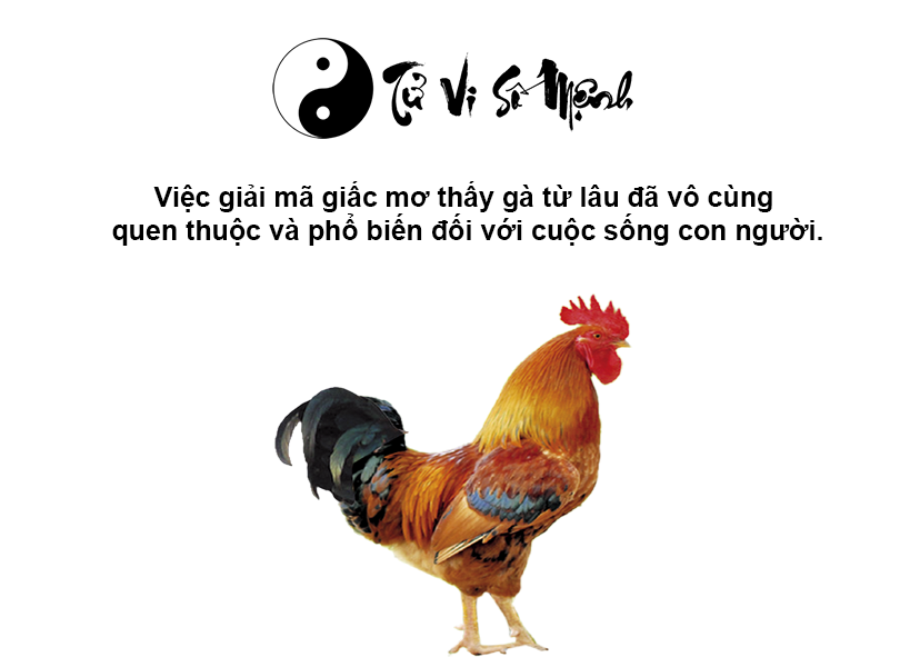 Nằm mơ thấy gà là điềm báo gì và ứng với con số nào