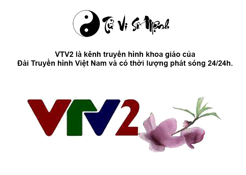 VTV2 là gì và chương trình truyền hình trên kênh VTV2