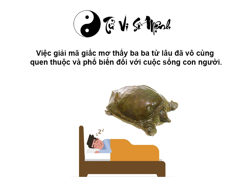 Nằm mơ thấy ba ba là điềm gì và ứng với con số nào