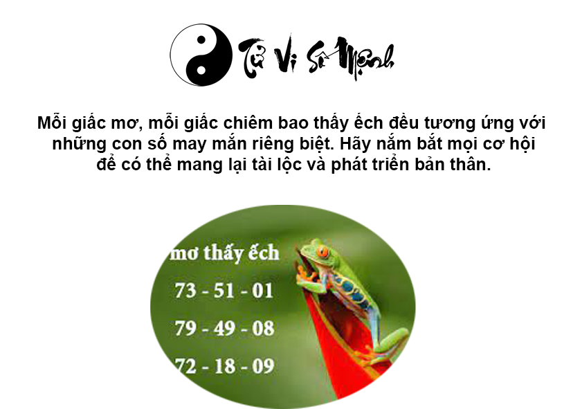 Giải mã giấc mơ thấy ếch và con số may mắn tương ứng