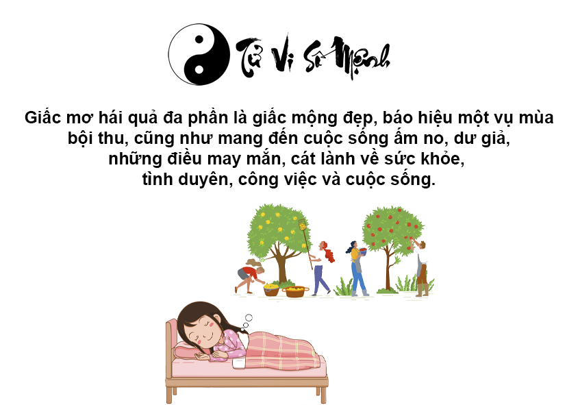 Nằm mơ hái quả trên cây là điềm gì và con số tương ứng