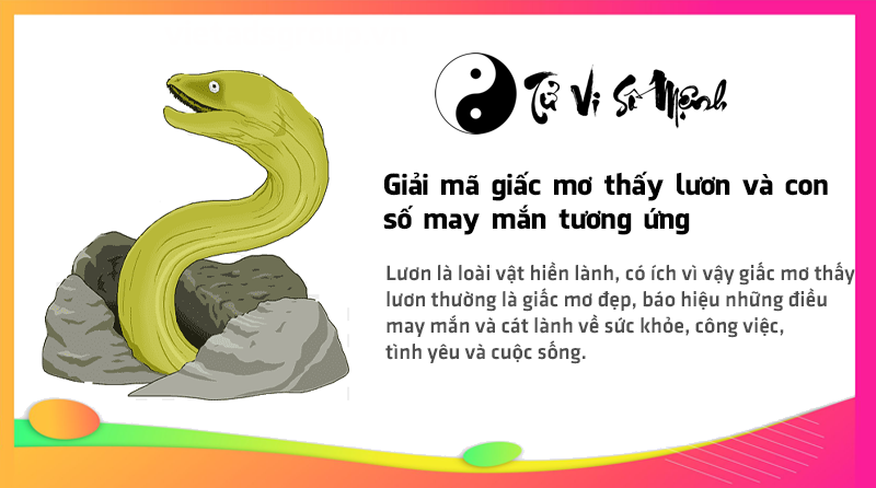 Giải mã giấc mơ thấy lươn và con số may mắn tương ứng