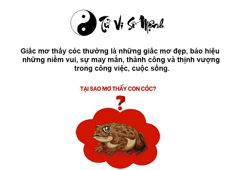 Giải mã giấc mơ thấy cóc và con số may mắn