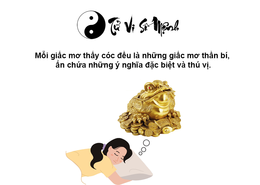 Giải mã giấc mơ thấy cóc và con số may mắn