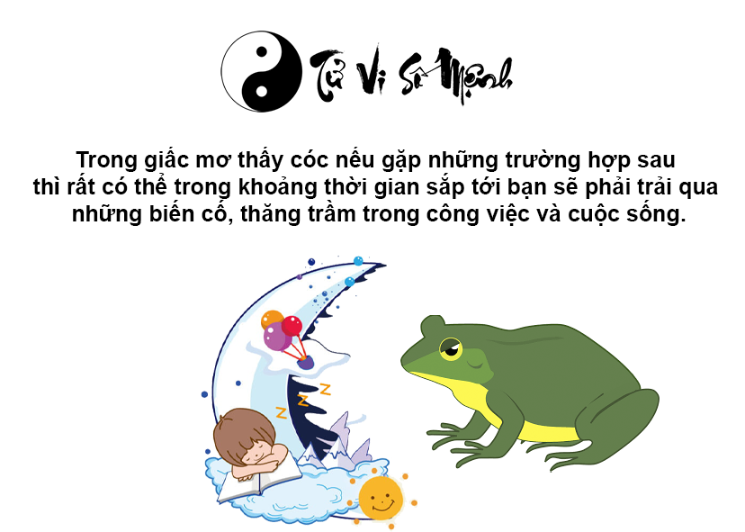 Giải mã giấc mơ thấy cóc và con số may mắn