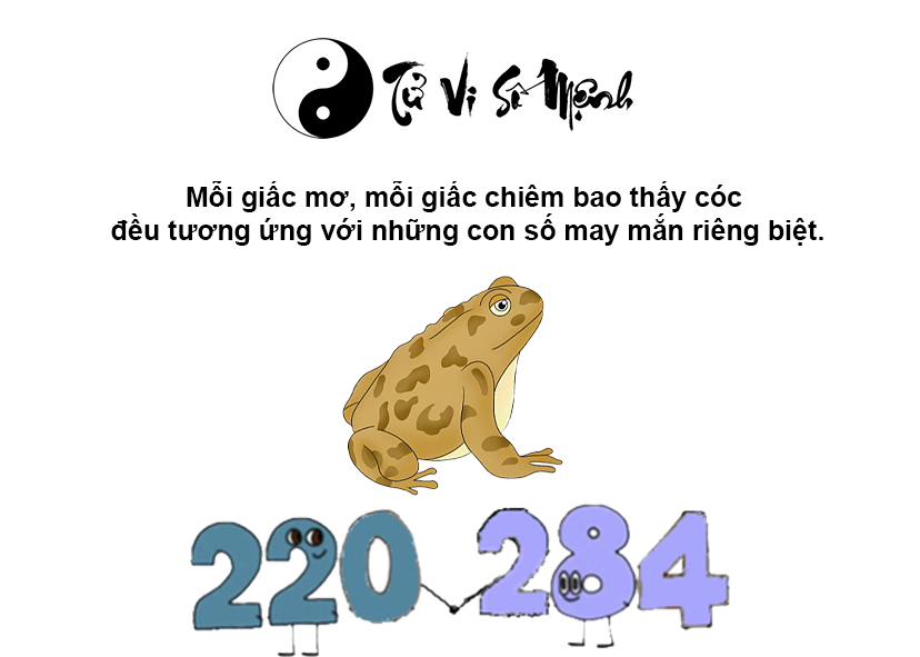 Giải mã giấc mơ thấy cóc và con số may mắn