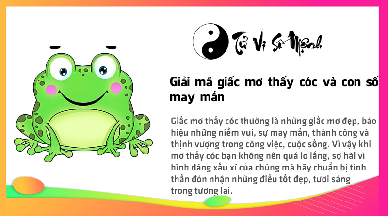 Giải mã giấc mơ thấy cóc và con số may mắn
