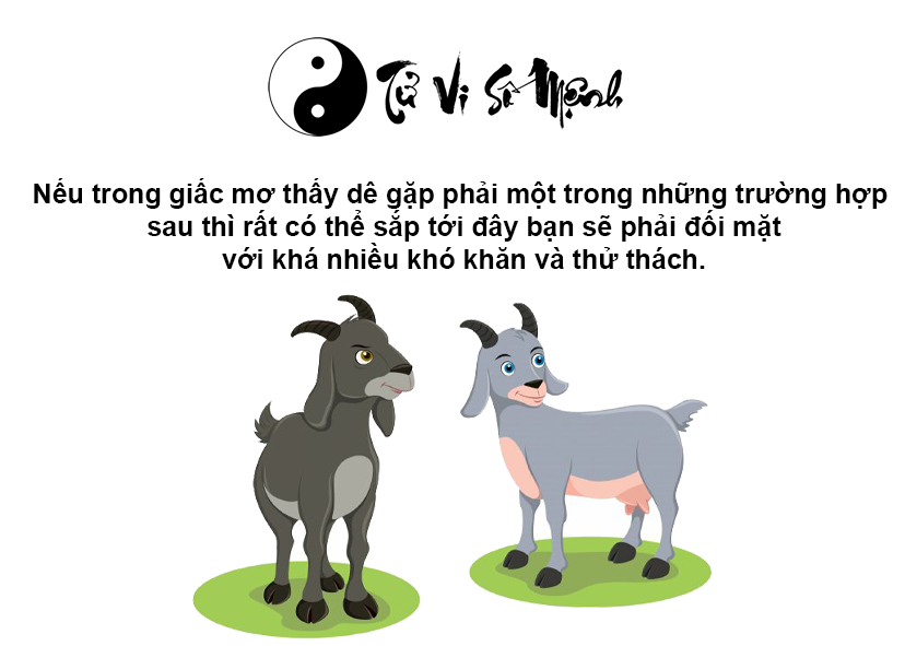 Giải mã giấc mơ thấy dê và con số may mắn tương ứng