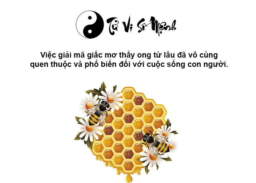 Giải mã giấc mơ thấy ong và con số may mắn tương ứng