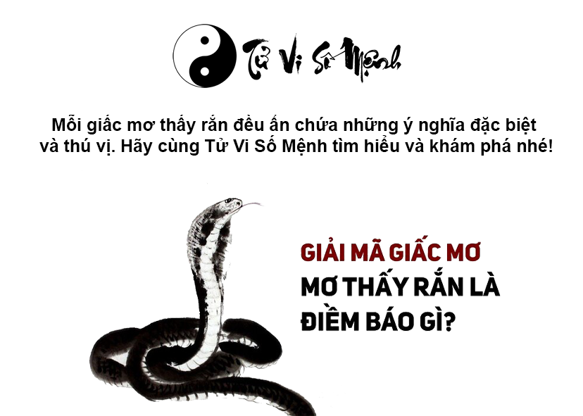 Nằm mơ thấy rắn l&agrave; điềm g&igrave; v&agrave; con số tương ứng