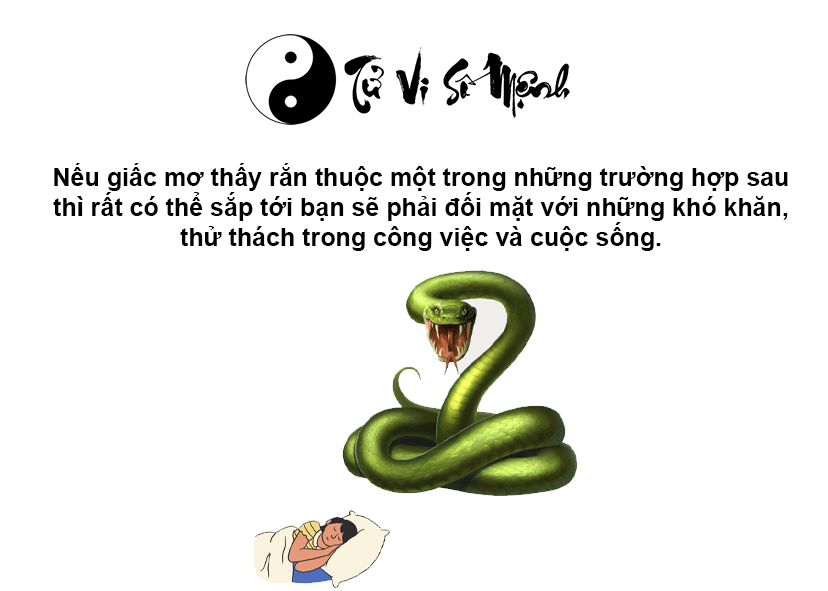 Nằm mơ thấy rắn l&agrave; điềm g&igrave; v&agrave; con số tương ứng