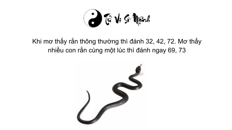 Mơ thấy con rắm là điềm báo lành hay dữ - Tử Vi Số Mệnh