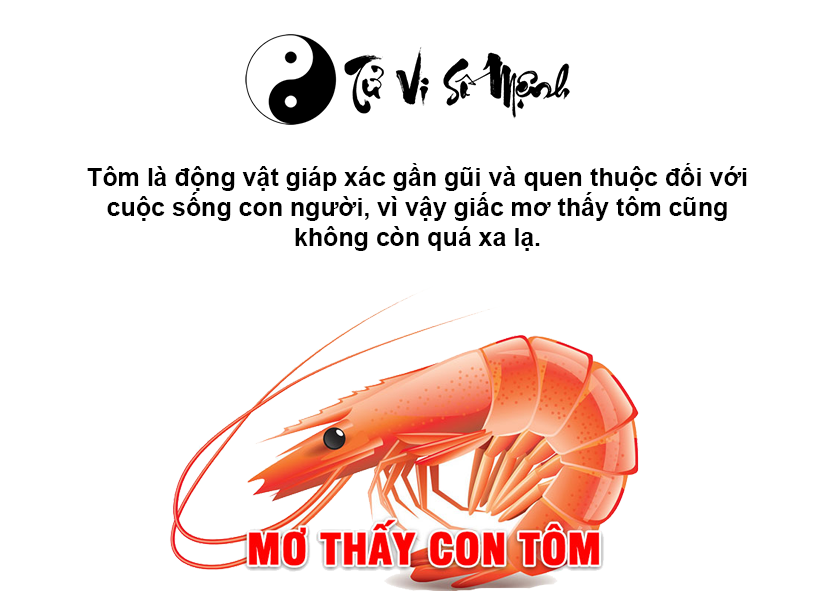 Nằm mơ thấy tôm là điềm gì và con số may mắn tương ứng