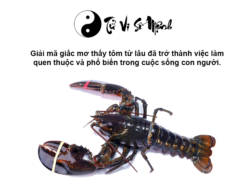 Nằm mơ thấy tôm là điềm gì và con số may mắn tương ứng