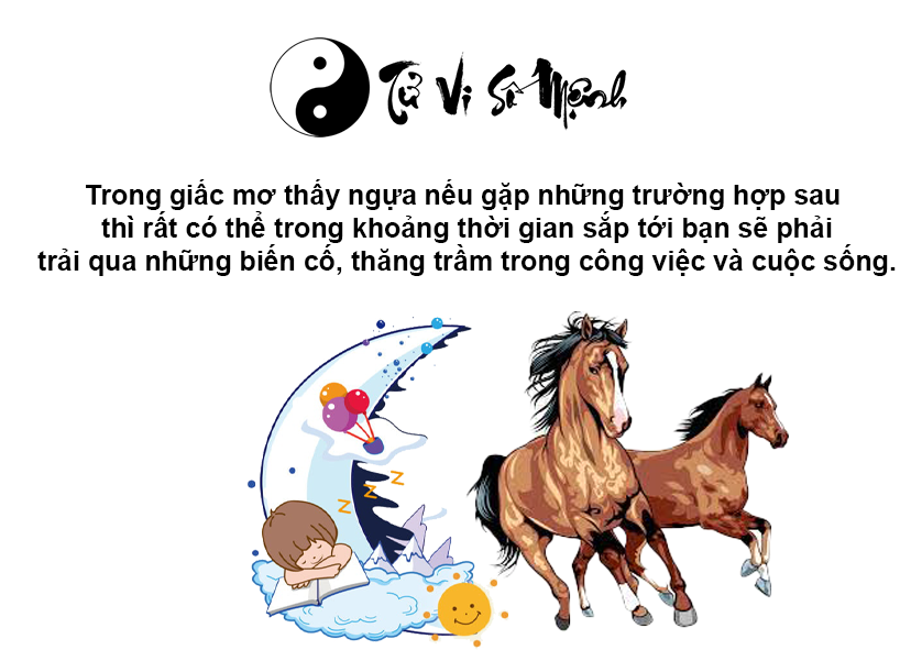 Giải mã giấc mơ thấy ngựa và con số tương ứng