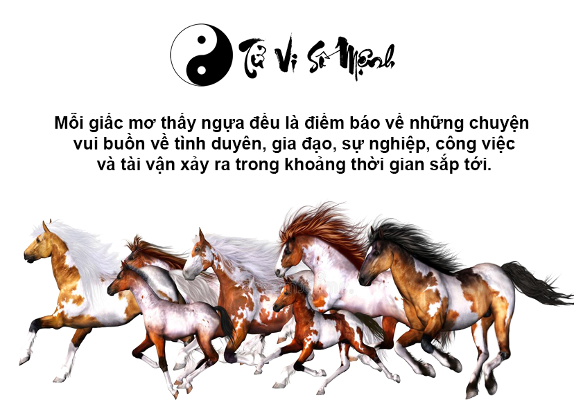 Giải mã giấc mơ thấy ngựa và con số tương ứng