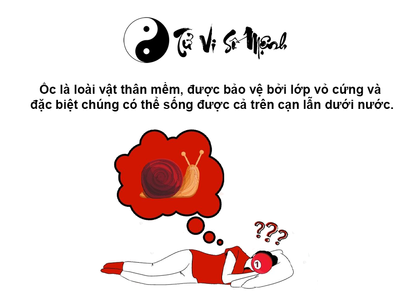 Nằm mơ thấy ốc là điềm báo gì và ứng với con số nào