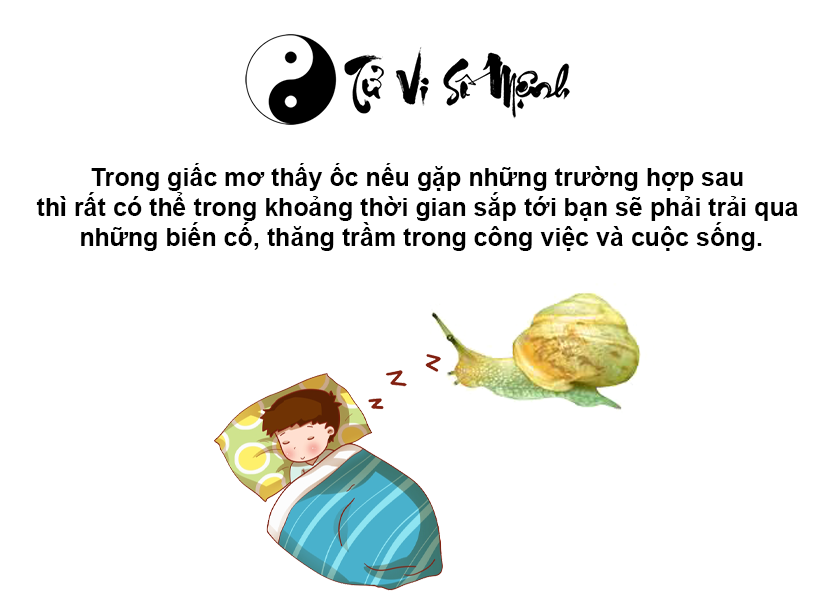Nằm mơ thấy ốc là điềm báo gì và ứng với con số nào